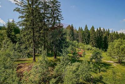 Apartament Premium | Silver Mountain| Regim Hotelier | SPA &Piscină. - 12