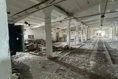 Complex industrial/Ferma de vânzare | Orțișoara, jud. Timiș - 27