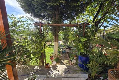 Inchiriere apartament Snagov, teren, ponton, lac - 67