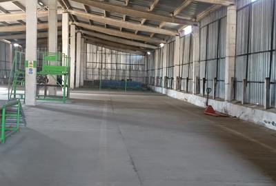 Spatiu industrial -  depozitare hale Baza Receptie Ghimpati Giurgiu - 14