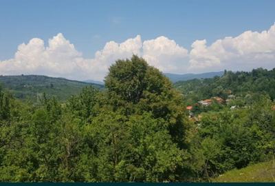 VANZARE TEREN  SAT DOFTANA COM.TELEGA - 5