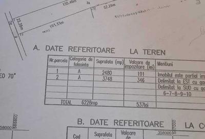 Teren Ciolpani - Loturi teren - Ciolpani - 9