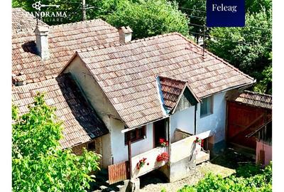 Casă tradițională de vânzare în Transilvania – gospodărie autentică - 9