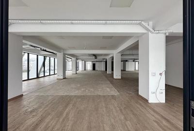 Spatiu comercial Tatarasi, langa Carrefour, 562mp - 10