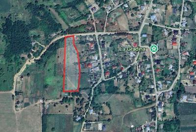 0% COMIOSION-  Teren Intravilan 8.841mp Uricani – Langa Centura - 1