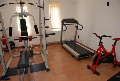 Apartament 3 camere, curte privata cu piscina in Dumbravita - 17
