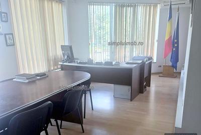 Casă individuală cu 9 camere în Ferentari