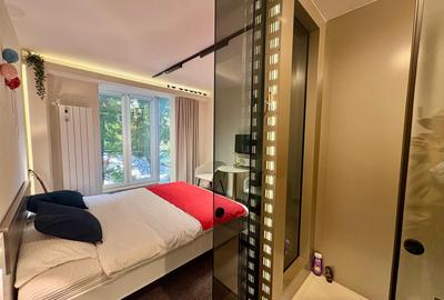 Victoriei, Veronica Micle - apartament 2 camere renovat de inchiriat. - 12