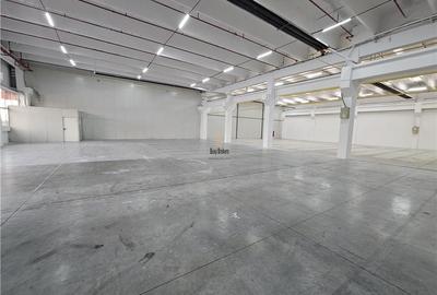 Spatiu Comercial - 900 mp - Showroom - Depozitare - 3