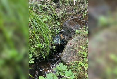 Teren cu potențial turistic, cadru natural rar, 20.000 mp  Sacuieu - 13