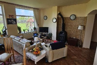 Ciopani vila 5 camere teren 4000 mp - 22