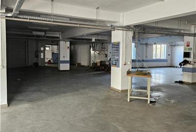 Exclusivitate - Proprietate Industriala De Vanzare - Productie - Depozitare - 3