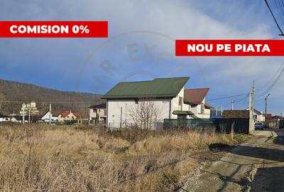 Teren 1.250 mp, toate utilitatile – Bascov, Valea Ursului, AG - 1