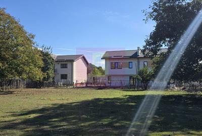 Teren agricol intravilan de 10072 mp, în Voila