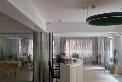 Vila P+2, suprafata 380 mp, Principatele Unite, Piata Unirii - 17