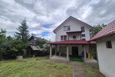 Casă individuală cu 10 camere în Arbore