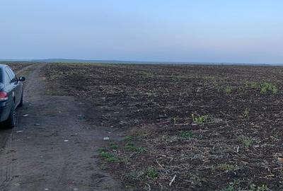 Teren Construcții intravilan de 31000 mp, în Frumușani