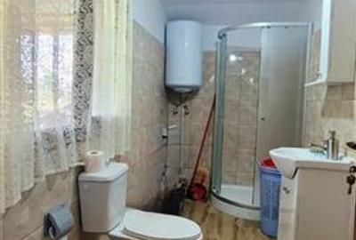Teren 3100 mp cabana potential investitional Sura Mica Sibiu - 14