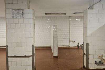 VILĂ P+1 CU SPAȚIU DE PRODUCȚIE ȘI BIROURI – ZONA ȘTEFAN CEL MARE - 5