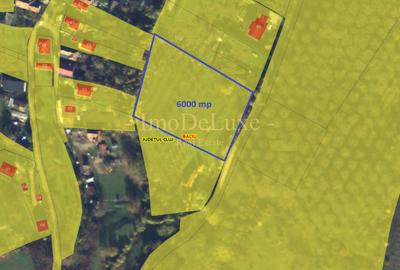 Teren intravilan, 6000mp, priveliste, comuna Baciu, zona Suceagu - 6