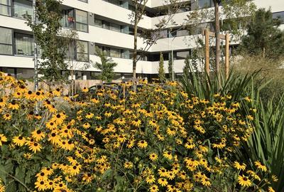 Atria Urban Resort