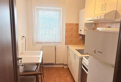 CENTRAL, LA 3 MIN DE PIATA UNIRII, APARTAMENT CU O CAMERA, DISPONIBIL IMEDIAT - 2