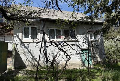Casă de vânzare în zona Câmpulung înconjurată de natura - 16