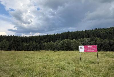 PARCELE DE VÂNZARE, pe malul râului BÂSCA, COMANDAU, COVASNA - 4