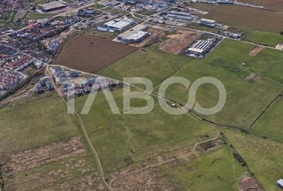 Teren agricol intravilan de 8000 mp, în Turnișor