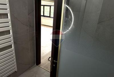 Spațiu de birouri de inchiriat - 60 mp open space - Băneasa stradal - 14