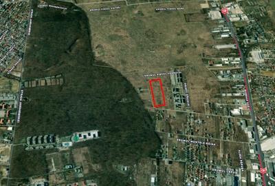 REL4001044 Investitie - teren 27580 mp langa Padurea Baneasa - 5
