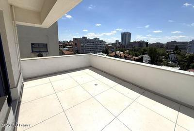 Polona - Duplex 256 mpu, 6 camere, etaje 6+7, panorama, terase 52 mp - 35