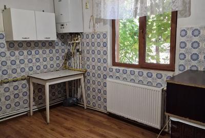 Afumati Casa 4 camere parter la sosea teren 800 mp ideal afacere - 17