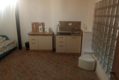 Apartament tip studio in vila, zona Astra - 2