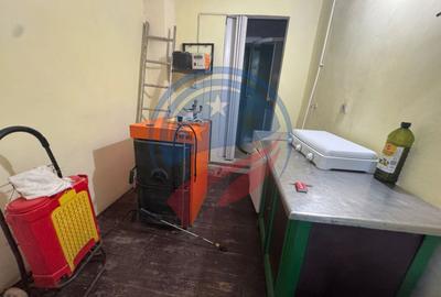 Casă de vânzare în Comuna Orodel – proprietate îngrijită, gata de locuit și cu p - 9