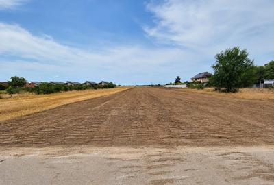 Teren Construcții intravilan de 2000 mp, în Ciorogârla