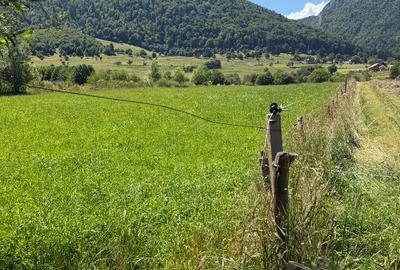 Teren Construcții intravilan de 2201 mp, în Sud-Est
