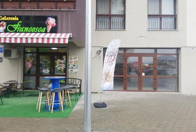 Spatiu comercial stradal 45.96 mp, Cristalului, Bragadiru - 2
