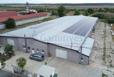 Spațiu industrial, de 2,196.00 mp, în Pecica