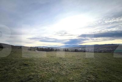 Teren Construcții intravilan de 8000 mp, în Ciurila