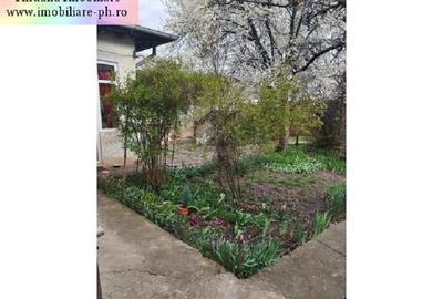 Casa de vanzare : Democratiei-(Ciprian Porumbescu),teren 933 mp - 3