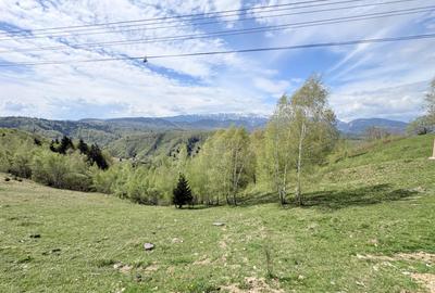 Teren 1100 mp, intravilan, Moieciu de Jos/Drumul Carului - 1