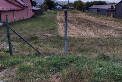 Teren Construcții intravilan de 2600 mp, în Livezile