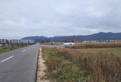 Teren 9.000 mp  in Bartolomeu, strada  Institutului,front stradal 36 ml - 1