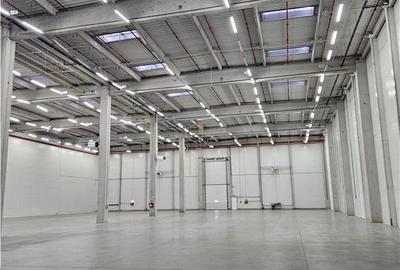 Spatii Industriale - 9500 mp - Logistica - Productie - Depozitare - Distributie - 13