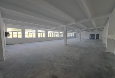 Spatiu industrial, 439 mp utili, situat in zona Taietura Turcului! - 1
