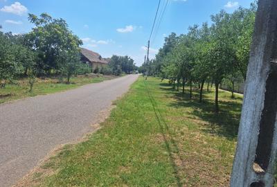 Vand doua case cu teren livada nuci si pruni - 2