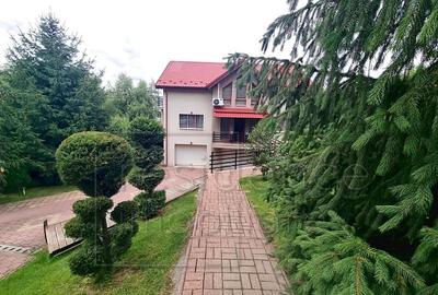 Pet friendly! Casa spatioasa cu 5 camere, Europa+2 Garaje - 20