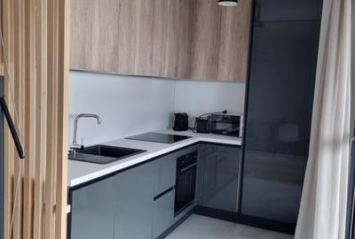 Cozy 2 bedrooms apartment, with beautiful view, close to Bordei park - 4