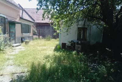 Casa singura cauta Propietar la Gratar - 3